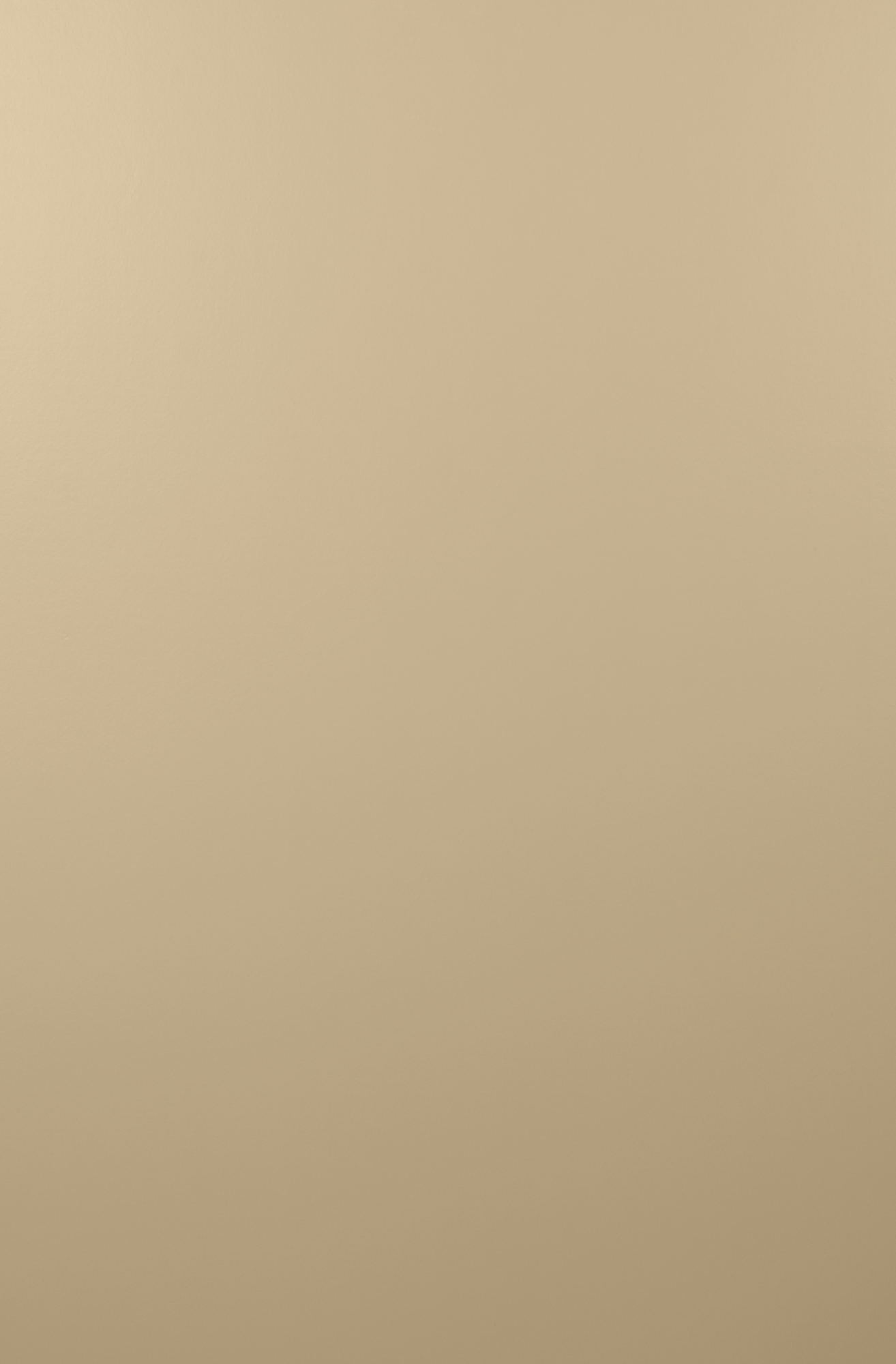 Hardie Panel HZ10 48 in. x 96 in. Primed Smooth Fiber Cement Panel Siding